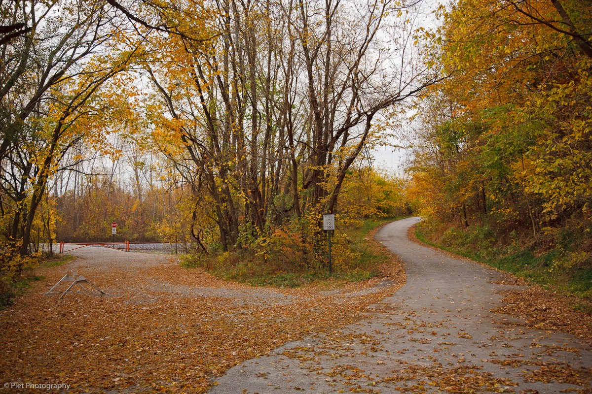 On roads not&nbsp;taken